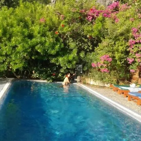 Villa Gokbel Pensiune