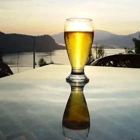 Pensiune Villa Gokbel 3*